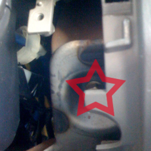 Forester_panel11.jpg