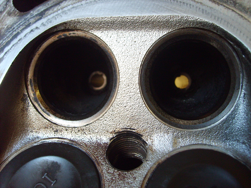 S5006188.jpg