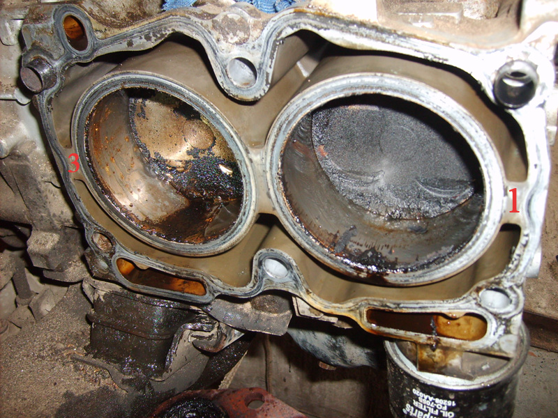 S5006206.jpg