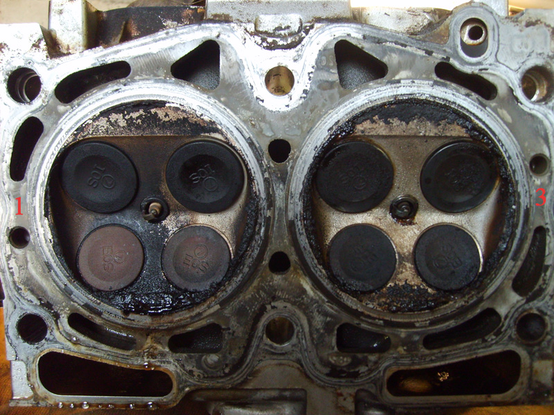 S5006209.jpg