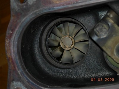 DSCN4390.JPG